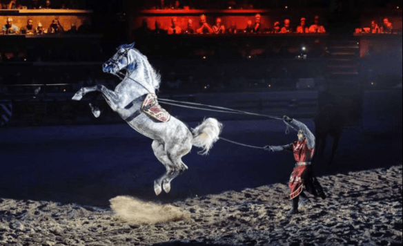 Screen Shot 2017-04-19 at 6.53.28 AM